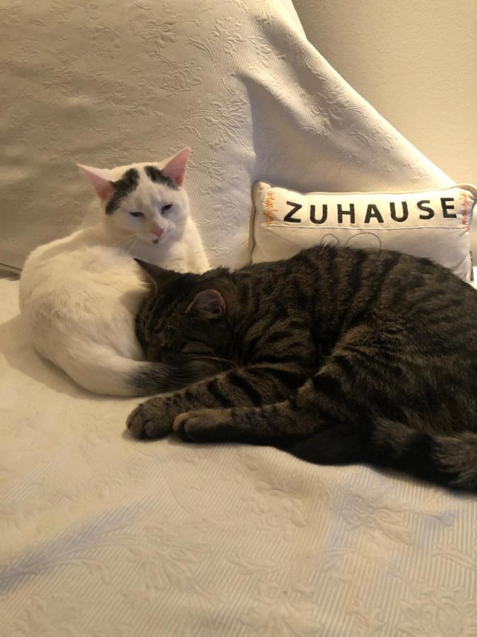 Stilvoll Urlaub Machen! Apartment Dudenhofen ภายนอก รูปภาพ